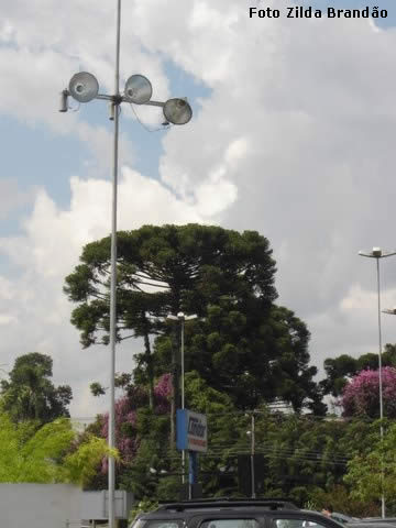 Algumas horas em Curitiba