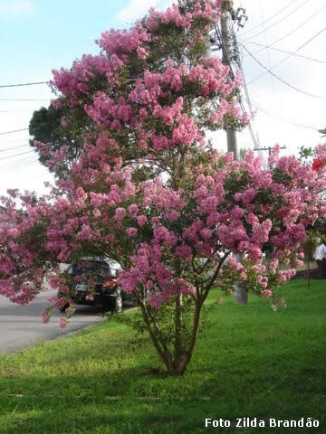 Algumas horas em Curitiba