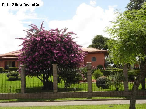 Algumas horas em Curitiba Algumas horas em Curitiba