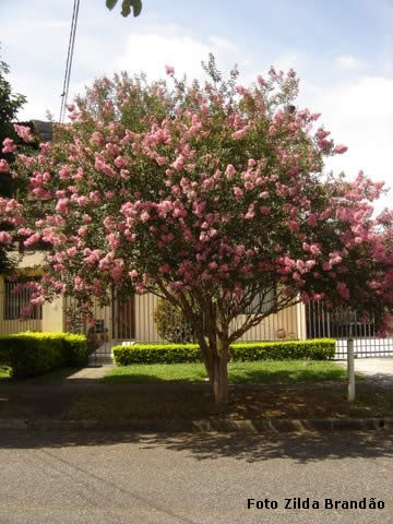 Algumas horas em Curitiba