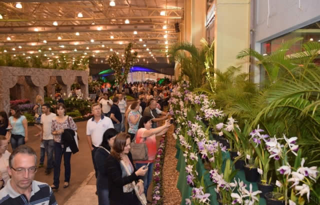 78a Festa das Flores de Joinville - Complexo Expoville