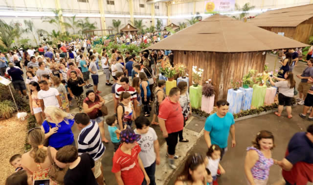 78a Festa das Flores de Joinville - Complexo Expoville