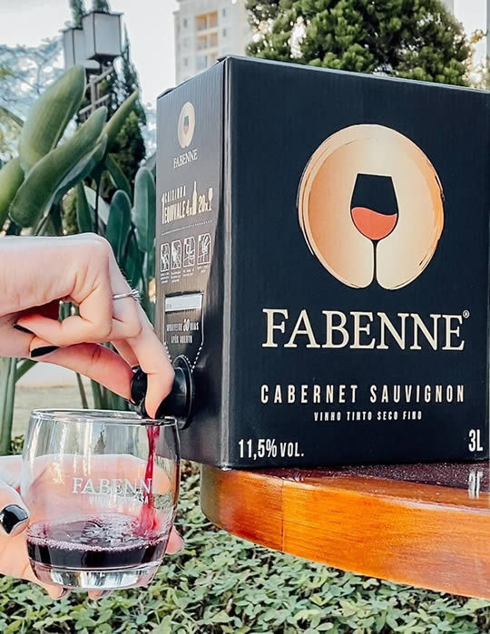 Fabenne, primeira startup de vinhos bag-in-box do Brasil