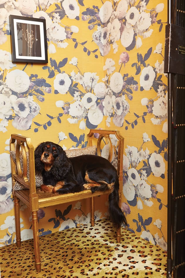 At Home, with Flowers - by Margot Shaw. The Peak of Chic ( thepeakofchic.blogspot.com ) At Home, with Flowers